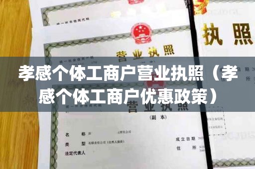 孝感个体工商户营业执照（孝感个体工商户优惠政策）