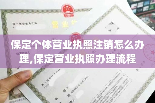 保定个体营业执照注销怎么办理,保定营业执照办理流程