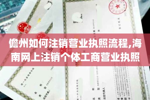 儋州如何注销营业执照流程,海南网上注销个体工商营业执照