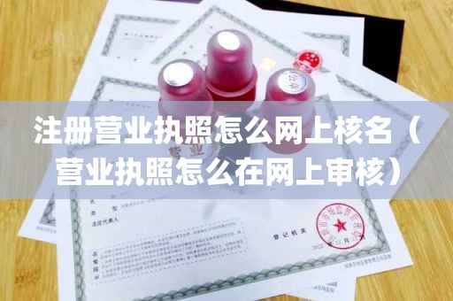 注册营业执照怎么网上核名（营业执照怎么在网上审核）