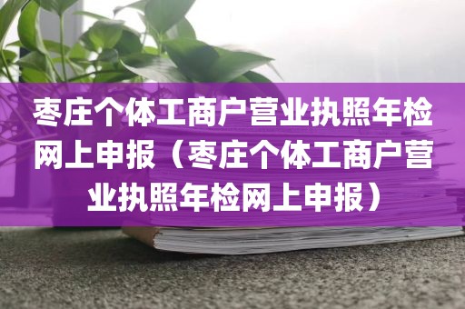 枣庄个体工商户营业执照年检网上申报（枣庄个体工商户营业执照年检网上申报）