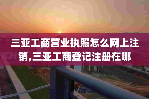 三亚工商营业执照怎么网上注销,三亚工商登记注册在哪