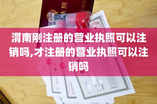 渭南刚注册的营业执照可以注销吗,才注册的营业执照可以注销吗