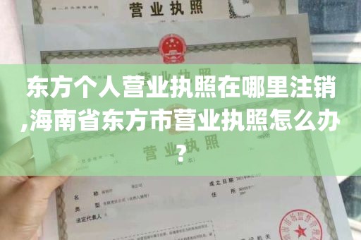 东方个人营业执照在哪里注销,海南省东方市营业执照怎么办?