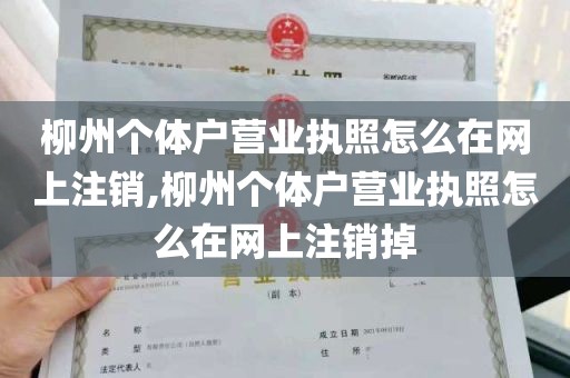 柳州个体户营业执照怎么在网上注销,柳州个体户营业执照怎么在网上注销掉