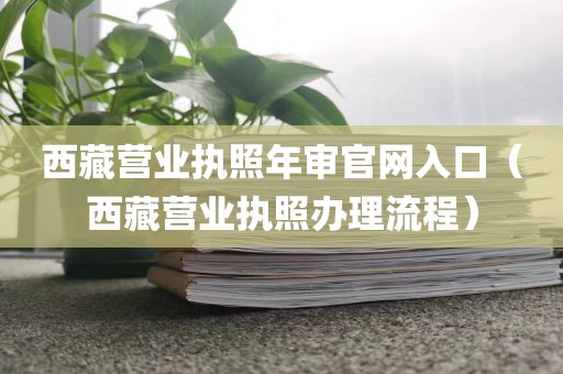 西藏营业执照年审官网入口（西藏营业执照办理流程）