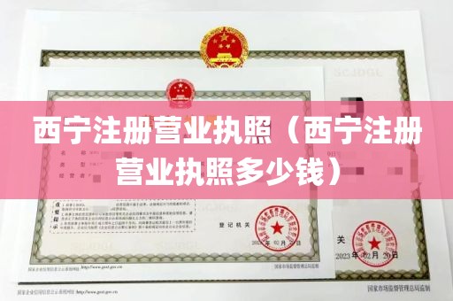 西宁注册营业执照（西宁注册营业执照多少钱）