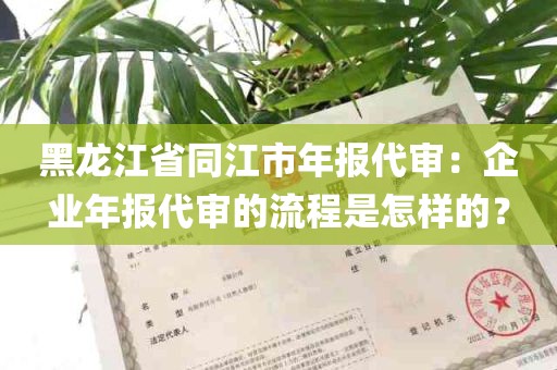黑龙江省同江市年报代审：企业年报代审的流程是怎样的？