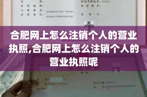 合肥网上怎么注销个人的营业执照,合肥网上怎么注销个人的营业执照呢