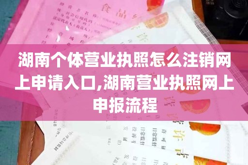 湖南个体营业执照怎么注销网上申请入口,湖南营业执照网上申报流程