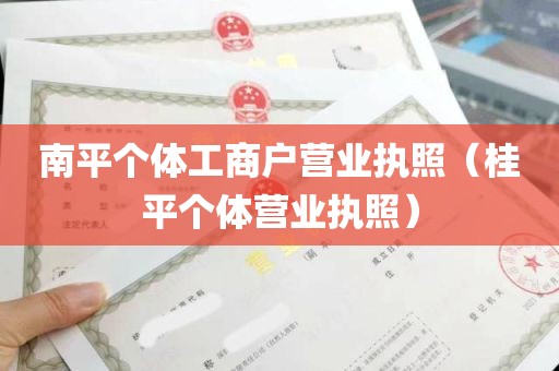 南平个体工商户营业执照（桂平个体营业执照）
