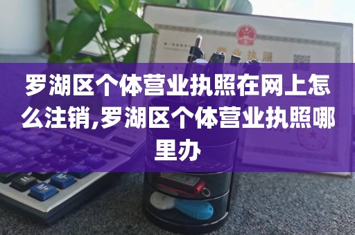 罗湖区个体营业执照在网上怎么注销,罗湖区个体营业执照哪里办