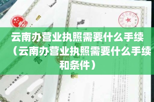 云南办营业执照需要什么手续（云南办营业执照需要什么手续和条件）