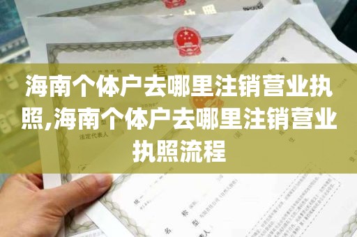 海南个体户去哪里注销营业执照,海南个体户去哪里注销营业执照流程