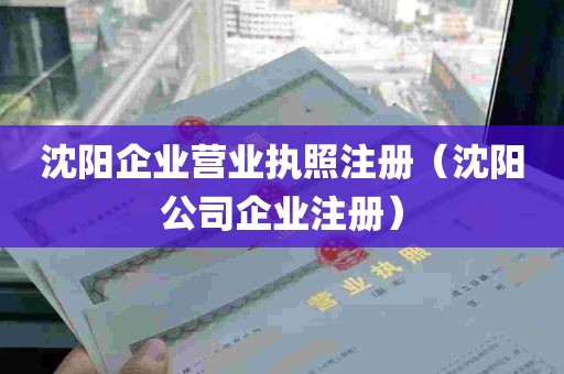 沈阳企业营业执照注册（沈阳公司企业注册）