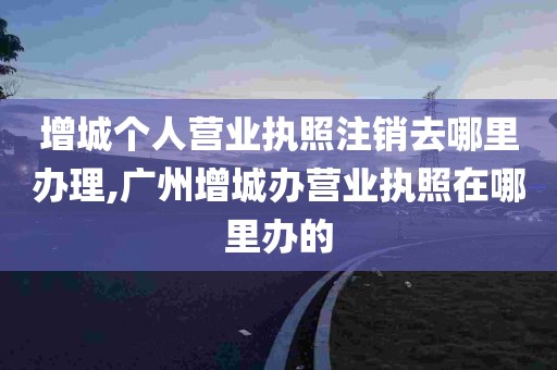 增城个人营业执照注销去哪里办理,广州增城办营业执照在哪里办的