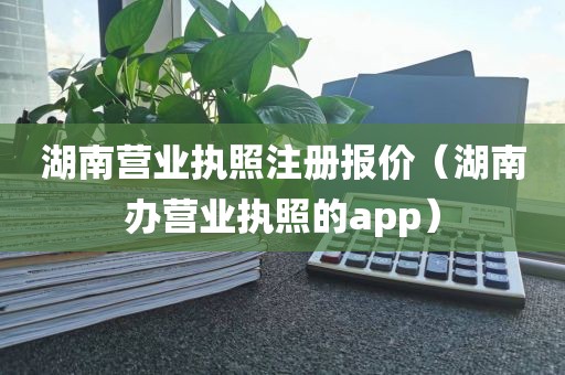 湖南营业执照注册报价（湖南办营业执照的app）
