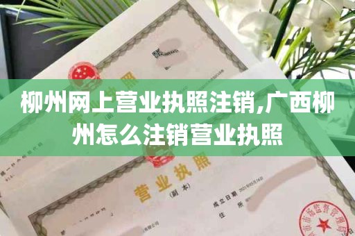 柳州网上营业执照注销,广西柳州怎么注销营业执照
