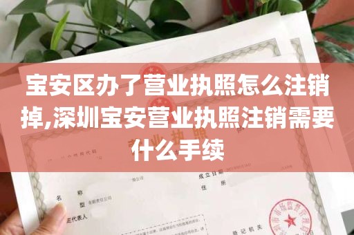 宝安区办了营业执照怎么注销掉,深圳宝安营业执照注销需要什么手续