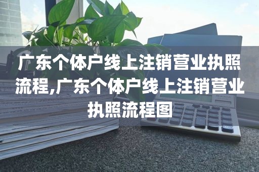 广东个体户线上注销营业执照流程,广东个体户线上注销营业执照流程图