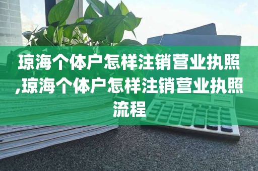 琼海个体户怎样注销营业执照,琼海个体户怎样注销营业执照流程