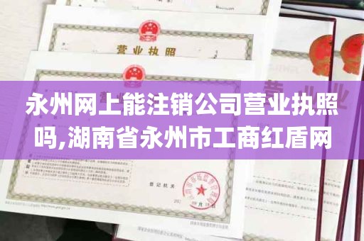 永州网上能注销公司营业执照吗,湖南省永州市工商红盾网