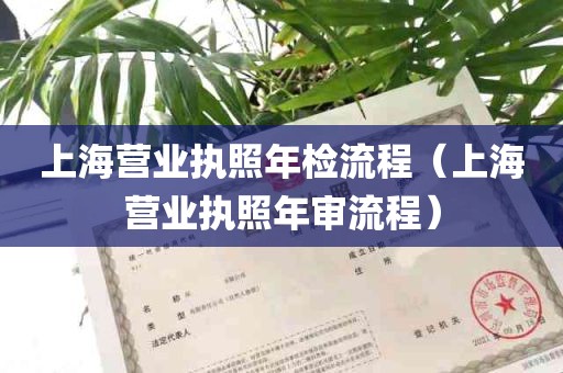 上海营业执照年检流程（上海营业执照年审流程）