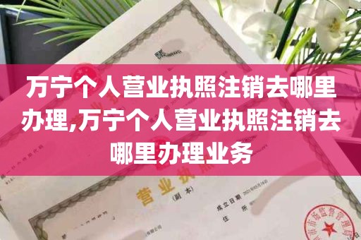 万宁个人营业执照注销去哪里办理,万宁个人营业执照注销去哪里办理业务