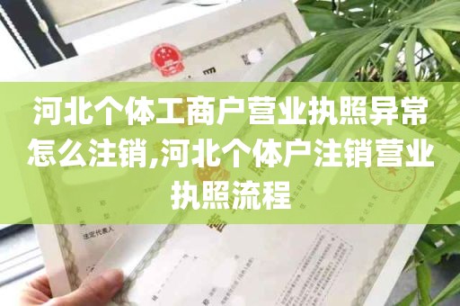 河北个体工商户营业执照异常怎么注销,河北个体户注销营业执照流程