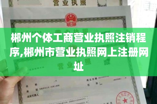 郴州个体工商营业执照注销程序,郴州市营业执照网上注册网址