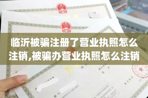 临沂被骗注册了营业执照怎么注销,被骗办营业执照怎么注销