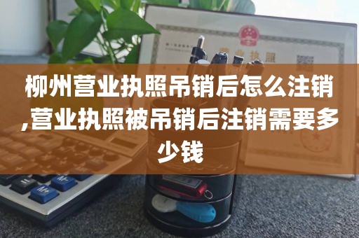 柳州营业执照吊销后怎么注销,营业执照被吊销后注销需要多少钱