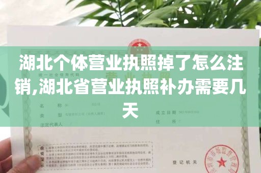 湖北个体营业执照掉了怎么注销,湖北省营业执照补办需要几天