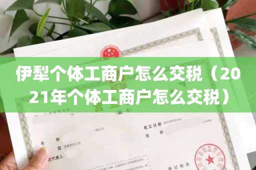 伊犁个体工商户怎么交税（2021年个体工商户怎么交税）