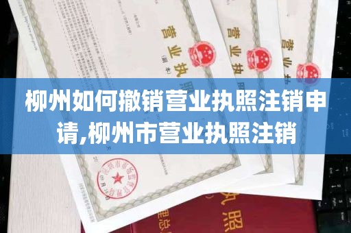 柳州如何撤销营业执照注销申请,柳州市营业执照注销