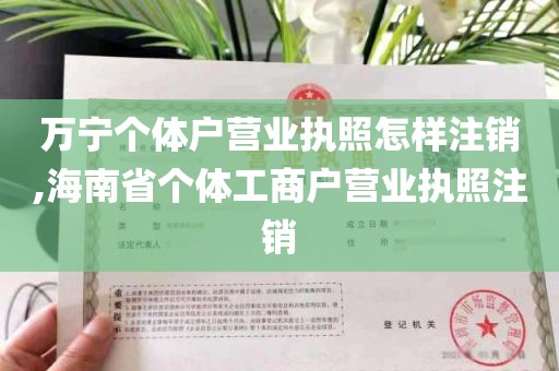 万宁个体户营业执照怎样注销,海南省个体工商户营业执照注销