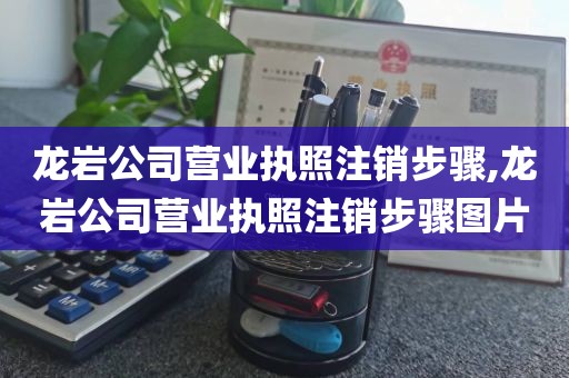 龙岩公司营业执照注销步骤,龙岩公司营业执照注销步骤图片