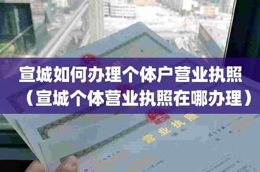 宣城如何办理个体户营业执照（宣城个体营业执照在哪办理）