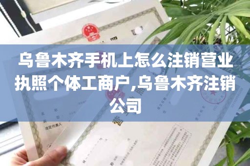 乌鲁木齐手机上怎么注销营业执照个体工商户,乌鲁木齐注销公司