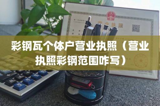 彩钢瓦个体户营业执照（营业执照彩钢范围咋写）