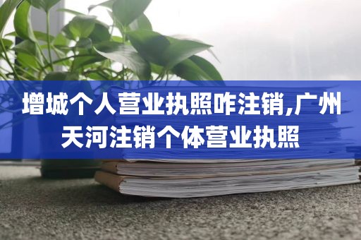增城个人营业执照咋注销,广州天河注销个体营业执照