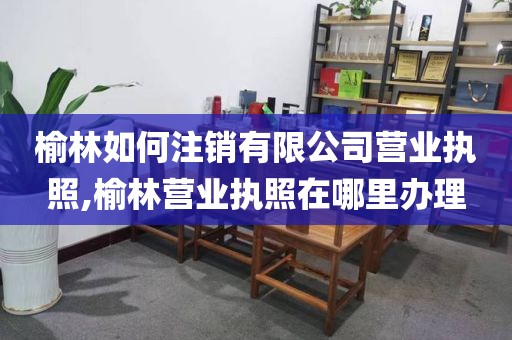 榆林如何注销有限公司营业执照,榆林营业执照在哪里办理