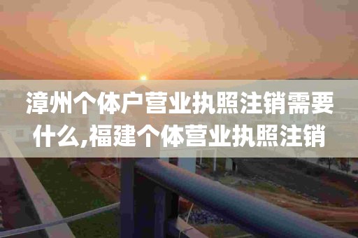 漳州个体户营业执照注销需要什么,福建个体营业执照注销