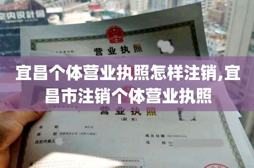 宜昌个体营业执照怎样注销,宜昌市注销个体营业执照