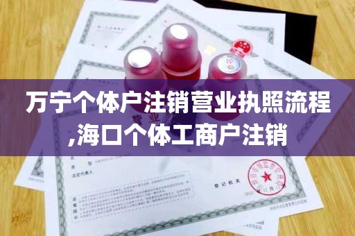 万宁个体户注销营业执照流程,海口个体工商户注销