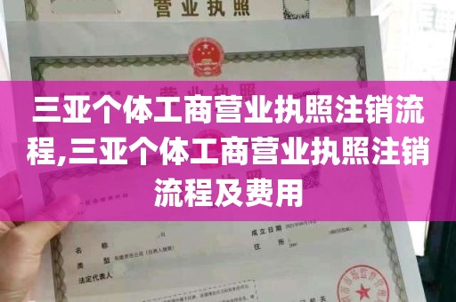 三亚个体工商营业执照注销流程,三亚个体工商营业执照注销流程及费用