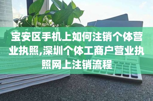 宝安区手机上如何注销个体营业执照,深圳个体工商户营业执照网上注销流程