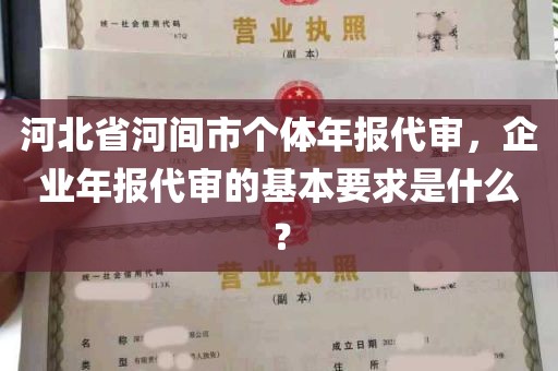 河北省河间市个体年报代审，企业年报代审的基本要求是什么？