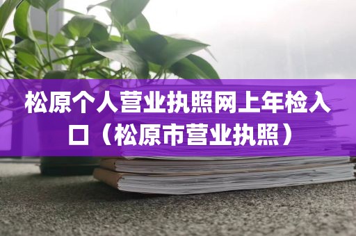 松原个人营业执照网上年检入口（松原市营业执照）