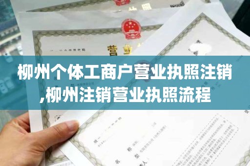 柳州个体工商户营业执照注销,柳州注销营业执照流程